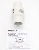 Pentair Check Valve 1.5" - 2" 2LB Corrosion Resistant R172288