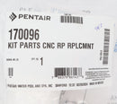 Pentair Clean & Clear RP Replacement Air Relief Kit | 170096
