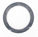 Pentair Colorvision Bubbler Color Ring for Gunite Pools, Gray | 590127Z