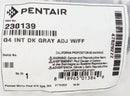 Pentair Dark Gray Gamma 4 Complete Head 230139