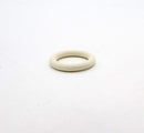 Pentair O-Ring Drain Plug | 192115Z