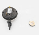 Pentair ETi 250 High Altitude Conversion Kit 4,500-10,000Ft | 462057