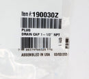 Pentair Cap Plug for FNS Plus Filter | 190030Z