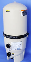 Pentair FNS Plus Filter 60 180009