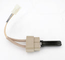 Pentair Igniter with Gasket Kit for Mastertemp & Max-E-Therm 77707-0054