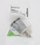 Pentair In-Floor(A&A)  Style 2 High Flow Pop-Up Head (Light Gray) 236342 551021