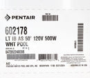 Pentair Intellibrite Architectural White LED Light 50' 120V 500W Equivalent 602178