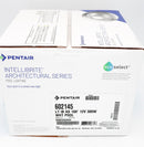 Pentair Intellibrite Architectural Series 300W White Pool Light 100' 12V 602145