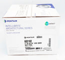 Pentair Intellibrite Architectural Series 300W White Pool Light 50' 120V 602182