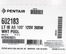 Pentair Intellibrite Architectural Series 100' 300W White Pool Light 602183