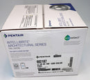 Pentair Intellibrite Architectural Series LED Pool Light RGBW 100' 120V 602187