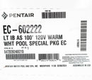 Pentair Intellibrite Architectural Series LED Warm White Pool Light 100' 120V EC-602222