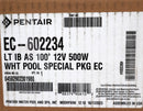 Pentair Intellibrite Architectural Series LED White 500W Equivalent Pool Light 100' 12V EC-602234