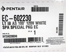 Pentair Intellibrite Architectural Series LED White Spa Light 100' 120V | EC-602230