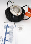 Pentair Intellibrite Architectural Series LED White Spa Light 100' 120V | EC-602230