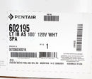 Pentair Intellibrite Architectural Series White Spa Light 100' 120V 602195