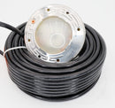 Pentair Intellibrite Architectural Series White Spa Light 100' 12V 618017