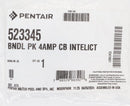 Pentair IntelliCenter Circuit Breaker 4 Amp 523345