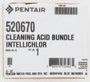 Pentair IntelliChlor(R) Acid Washing Kit 520670