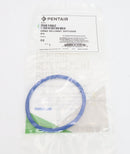 Pentair IntelliFlo3 Diffuser O-Ring 356190Z
