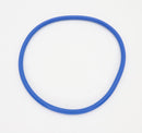 Pentair IntelliFlo3 Lid O-Ring | 356189Z