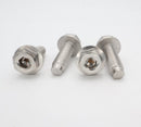 Pentair IntelliFlo3 Motor Bolts 4-Pack 074165Z