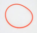 Pentair IntelliFlo3 Seal Plate O-Ring | 356173Z