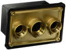 Pentair Junction Box Brass Base w/ Polycarbonate Cover | 78310700