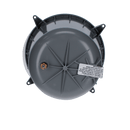 Pentair Large PVC Niche, Concrete | 79206700
