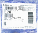 Pentair Wall Fitting Screen | E24