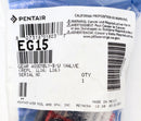 Pentair Gear Assembly | EG15