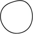 Pentair O-Ring C-18 | 071433