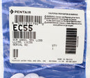 Pentair Legend White Wheel Screws, 5/Pack | EC55