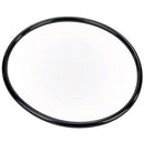Pentair Pump Lid O-Ring | 350013Z
