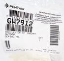 Pentair SandShark Oscillator Kit | GW7912