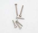 Pentair Screw Kit for Great White Pool Cleaner | GW9504
