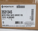 Pentair Superflo Variable Speed Motor Without Drive | 353134S