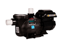 Pentair SuperMax 1.5HP Variable Speed Pump 115/208-230V 343001