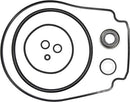 Pentair WhisperFlo/IntelliFlo Pump Seal Set | 356198