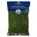 Super Moss, Preserved Moss, 326 in³