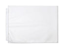 Pina Zangaro Sheets11x17 Pro-Archive Protectors 10 (Landscape)
