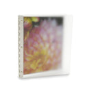 Pina Zangaro Vista 8.5x11 Presentation Book Mist (Portrait)