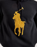 Polo Ralph Lauren Chenille Big Pony Hoodie