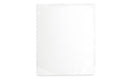 Pina Zangaro Sheets 14x11 Pro-Archive Protectors 10 (Portrait)