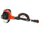 ECHO PPT-2620 Pole Saw Extended Reach, 12" Bar Loop Handle