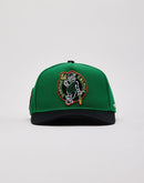 Pro Standard NBA Boston Celtics Hat