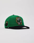 Pro Standard NBA Boston Celtics Hat