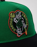 Pro Standard NBA Boston Celtics Hat