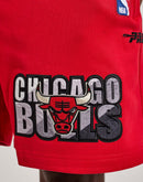 Pro Standard Chicago Bulls Shorts