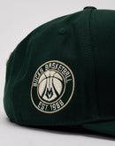Pro Standard NBA Milwaukee Bucks Snapback Hat